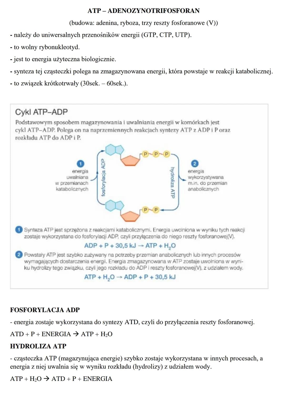 Podstawowe zasady metabolizmu
METABOLIZM – jest to szereg zależnych od siebie przemian chemicznych i energetycznych
zachodzących w żywych ko
