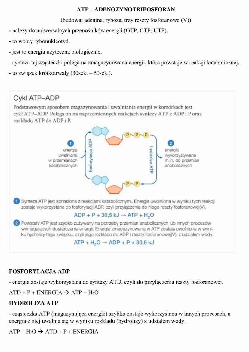 Podstawowe zasady metabolizmu
METABOLIZM – jest to szereg zależnych od siebie przemian chemicznych i energetycznych
zachodzących w żywych ko