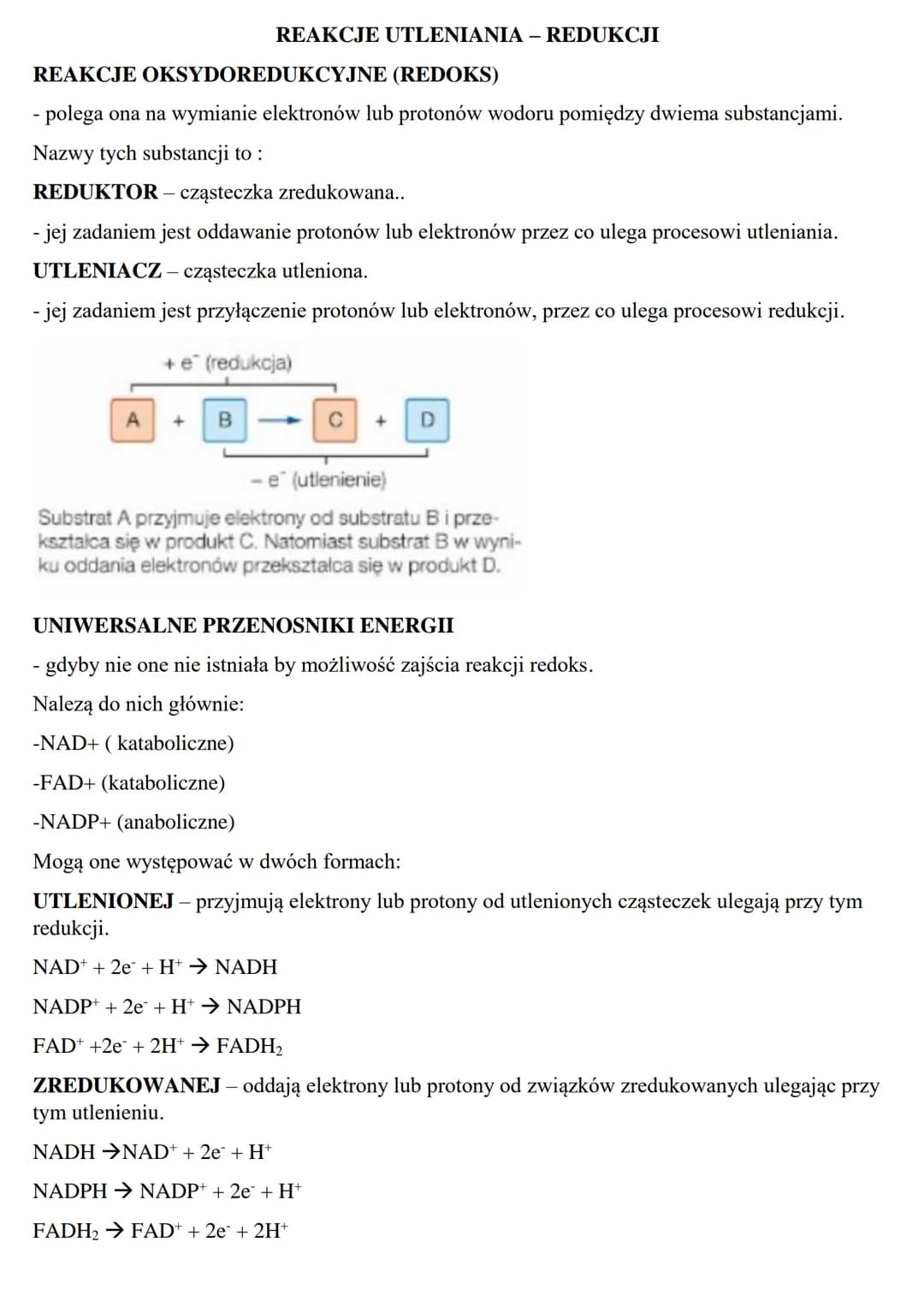 Podstawowe zasady metabolizmu
METABOLIZM – jest to szereg zależnych od siebie przemian chemicznych i energetycznych
zachodzących w żywych ko