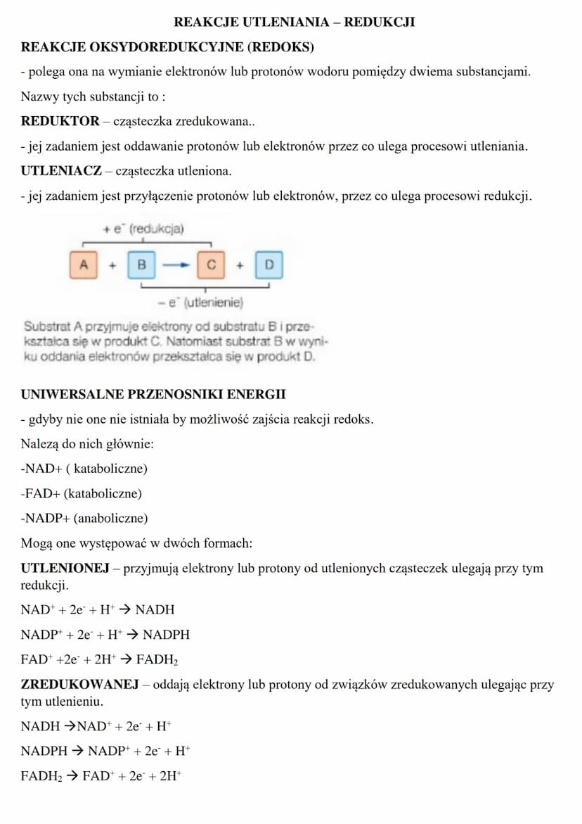 Podstawowe zasady metabolizmu
METABOLIZM – jest to szereg zależnych od siebie przemian chemicznych i energetycznych
zachodzących w żywych ko