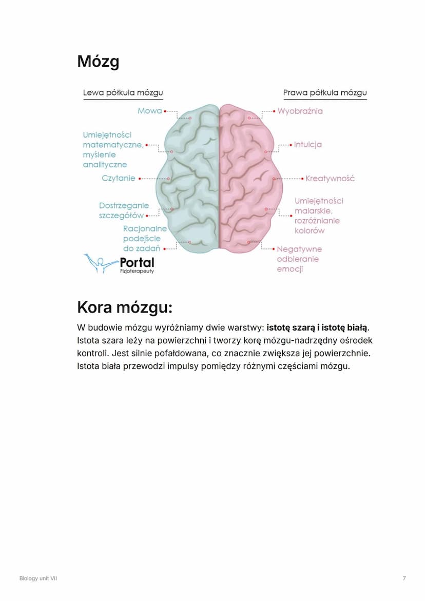 Biology unit VII
Biology unit VII
▼ Układ hormonalny
!
Układ hormonalny składa się z gruczołów dokrewnych.
Wydzielają one hormony, czyli zwi