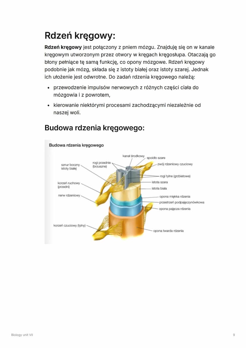 Biology unit VII
Biology unit VII
▼ Układ hormonalny
!
Układ hormonalny składa się z gruczołów dokrewnych.
Wydzielają one hormony, czyli zwi