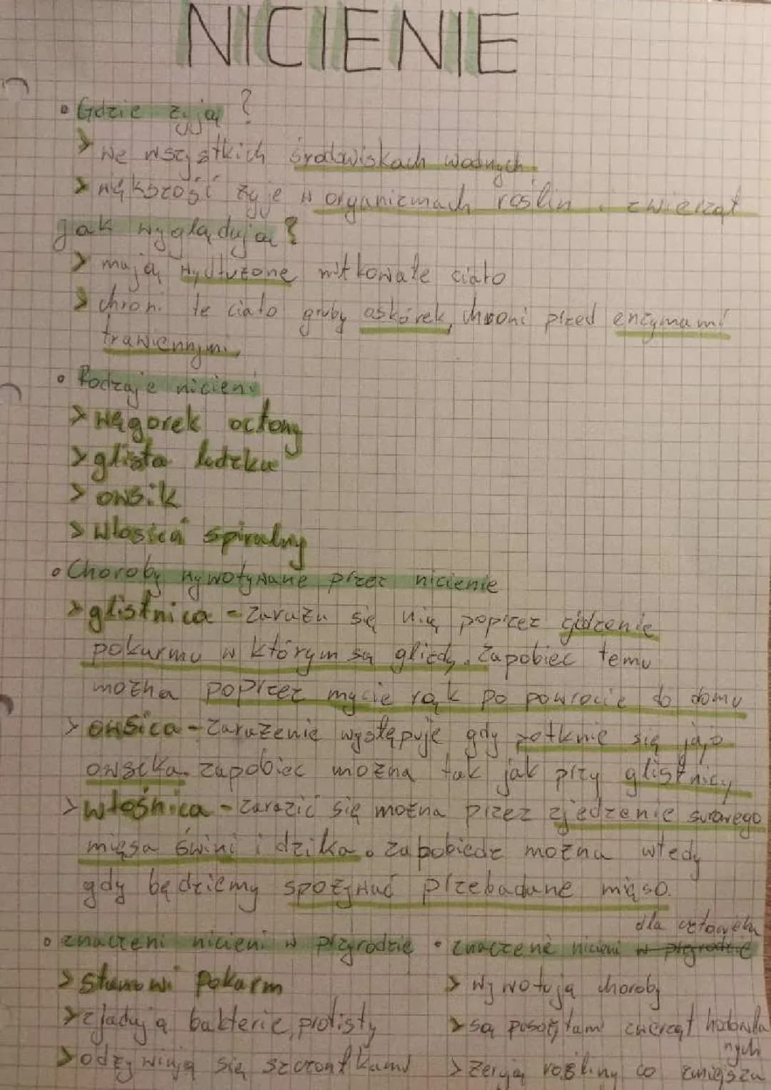 nicienie