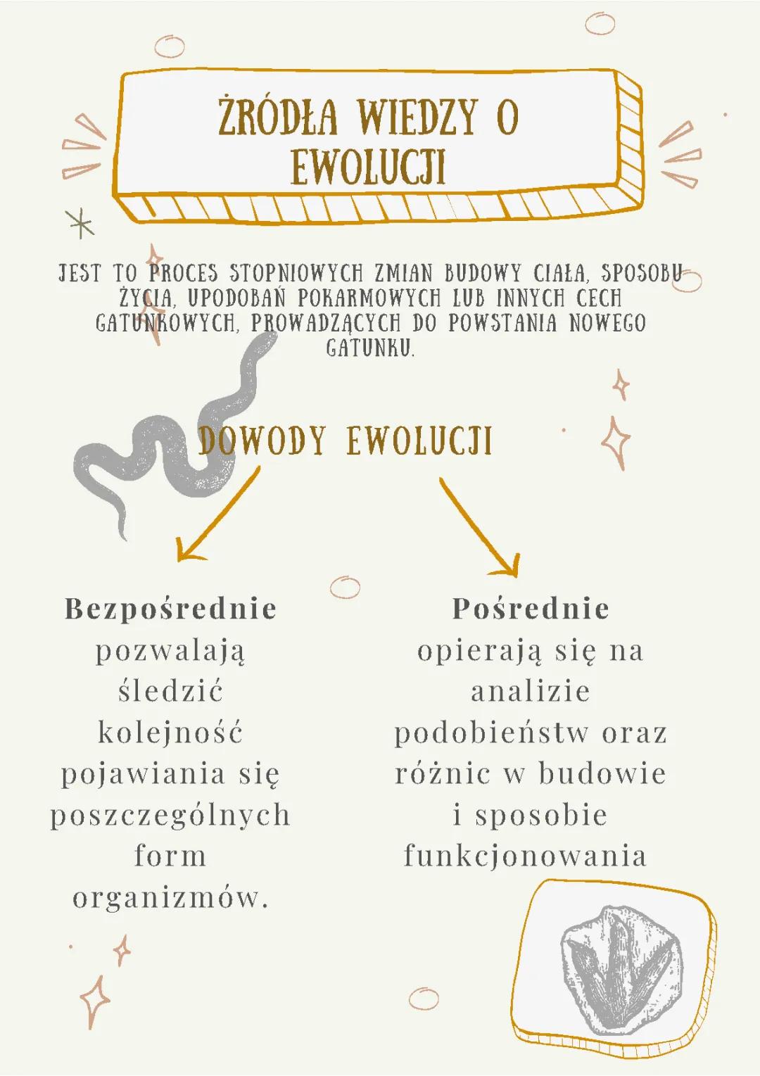 Czym jest Ewolucja Biologiczna? Dowody, Mechanizmy i Teoria Ewolucji