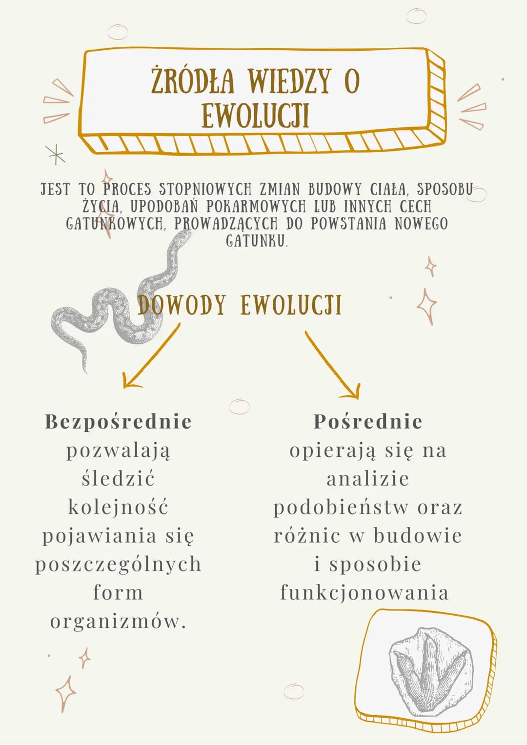 100
ŹRÓDŁA WIEDZY O
EWOLUCJI
JEST TO PROCES STOPNIOWYCH ZMIAN BUDOWY CIAŁA, SPOSOBU
ŻYCIA, UPODOBAŃ POKARMOWYCH LUB INNYCH CECH
GATUNKOWYCH,