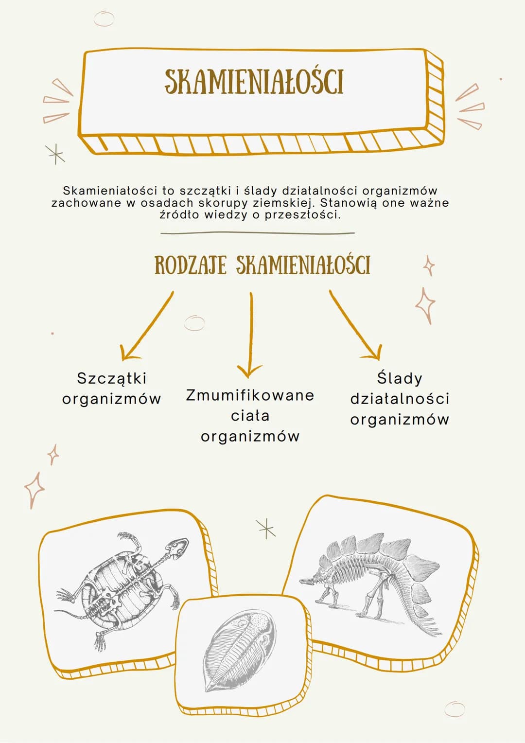 100
ŹRÓDŁA WIEDZY O
EWOLUCJI
JEST TO PROCES STOPNIOWYCH ZMIAN BUDOWY CIAŁA, SPOSOBU
ŻYCIA, UPODOBAŃ POKARMOWYCH LUB INNYCH CECH
GATUNKOWYCH,
