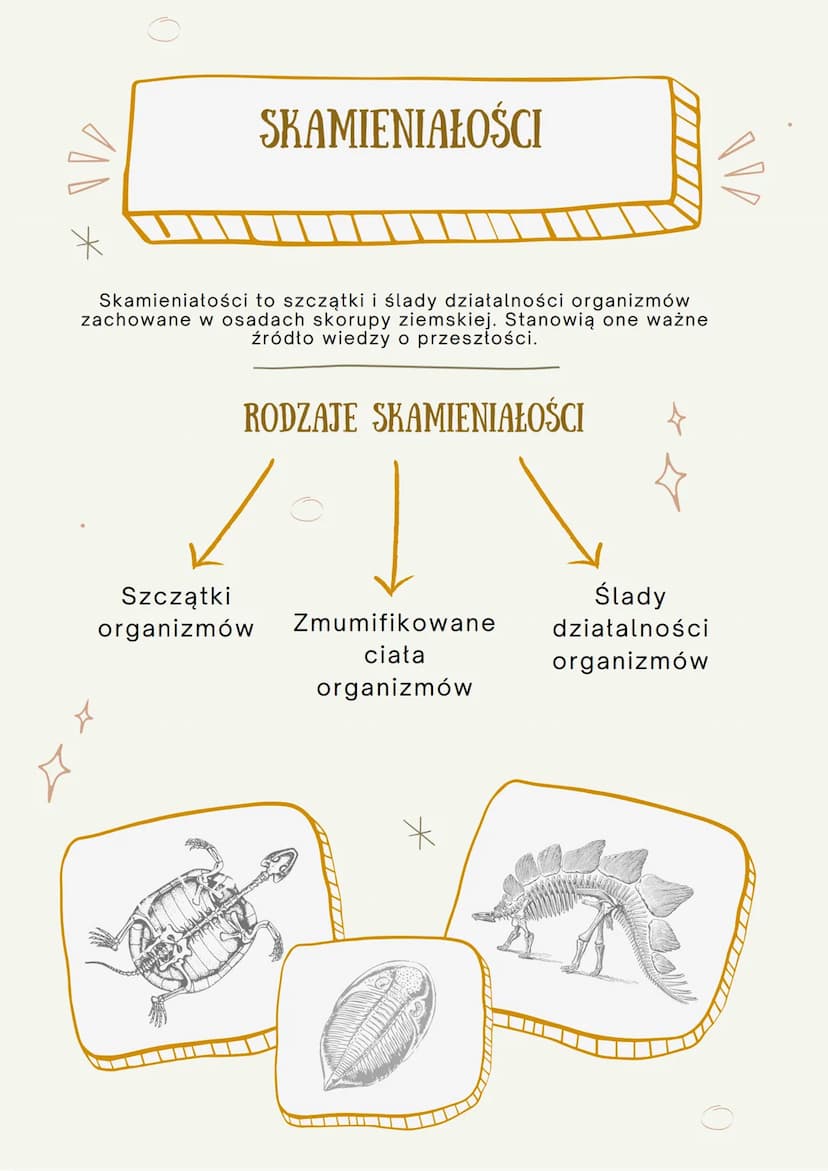 100
ŹRÓDŁA WIEDZY O
EWOLUCJI
JEST TO PROCES STOPNIOWYCH ZMIAN BUDOWY CIAŁA, SPOSOBU
ŻYCIA, UPODOBAŃ POKARMOWYCH LUB INNYCH CECH
GATUNKOWYCH,