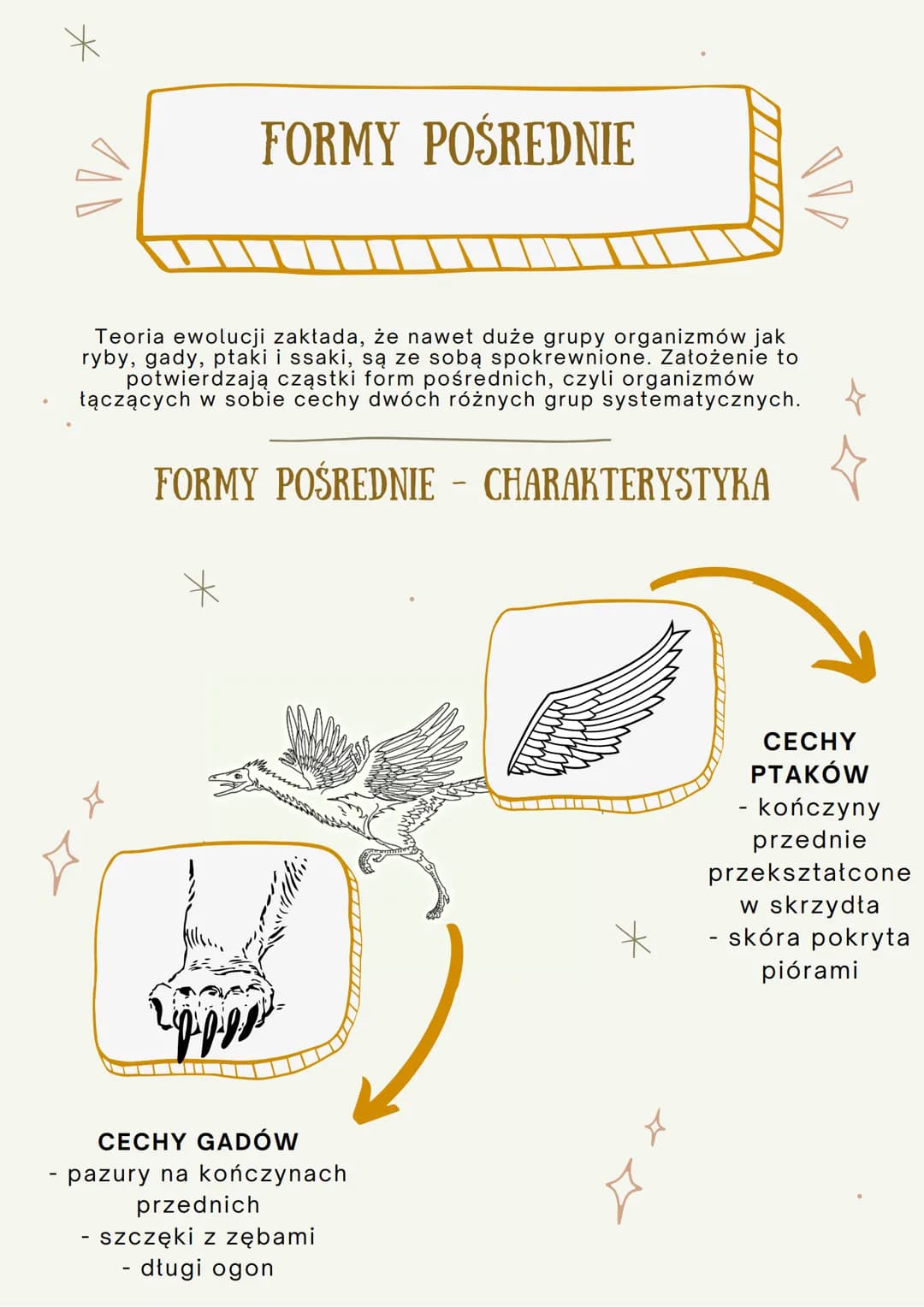 100
ŹRÓDŁA WIEDZY O
EWOLUCJI
JEST TO PROCES STOPNIOWYCH ZMIAN BUDOWY CIAŁA, SPOSOBU
ŻYCIA, UPODOBAŃ POKARMOWYCH LUB INNYCH CECH
GATUNKOWYCH,