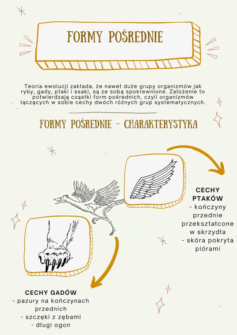100
ŹRÓDŁA WIEDZY O
EWOLUCJI
JEST TO PROCES STOPNIOWYCH ZMIAN BUDOWY CIAŁA, SPOSOBU
ŻYCIA, UPODOBAŃ POKARMOWYCH LUB INNYCH CECH
GATUNKOWYCH,