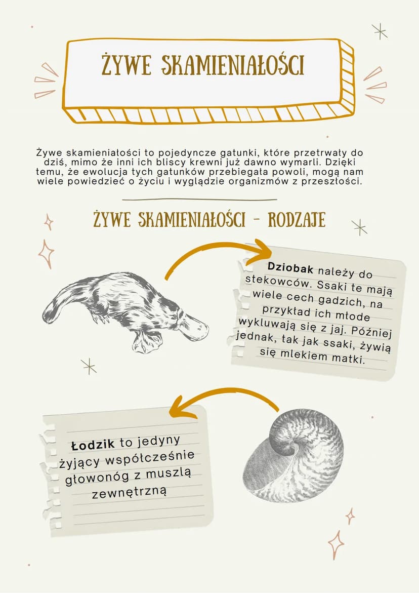 100
ŹRÓDŁA WIEDZY O
EWOLUCJI
JEST TO PROCES STOPNIOWYCH ZMIAN BUDOWY CIAŁA, SPOSOBU
ŻYCIA, UPODOBAŃ POKARMOWYCH LUB INNYCH CECH
GATUNKOWYCH,