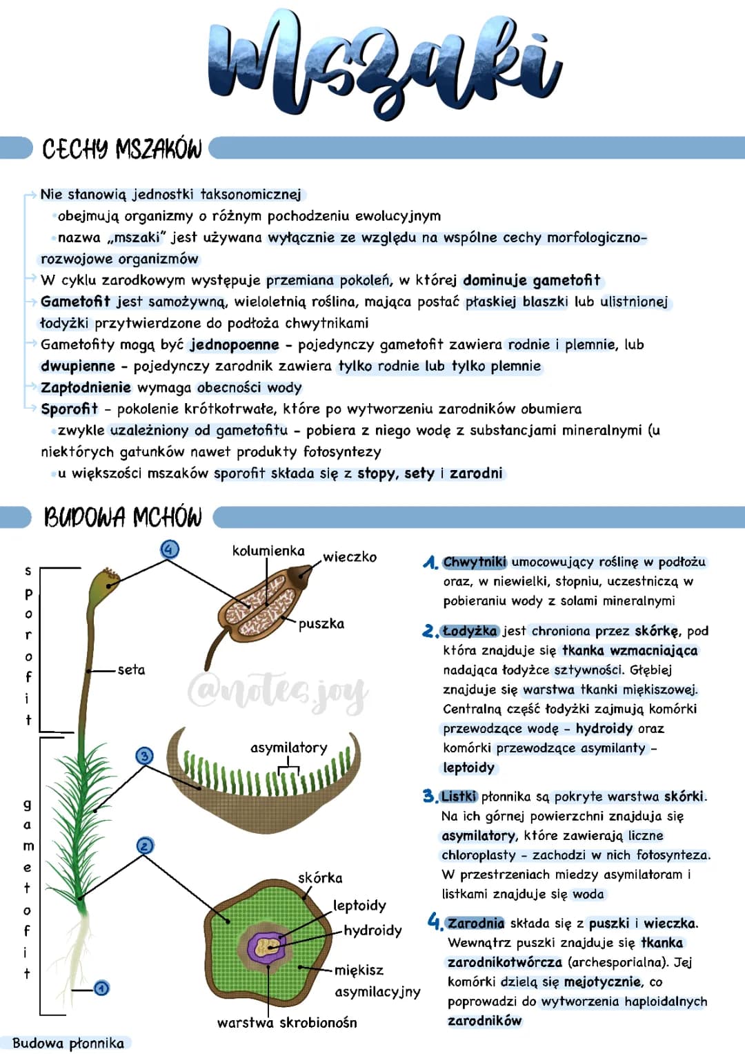 Paprotniki i Mszaki: Rozmnażanie i Cykl Rozwojowy w Biologii