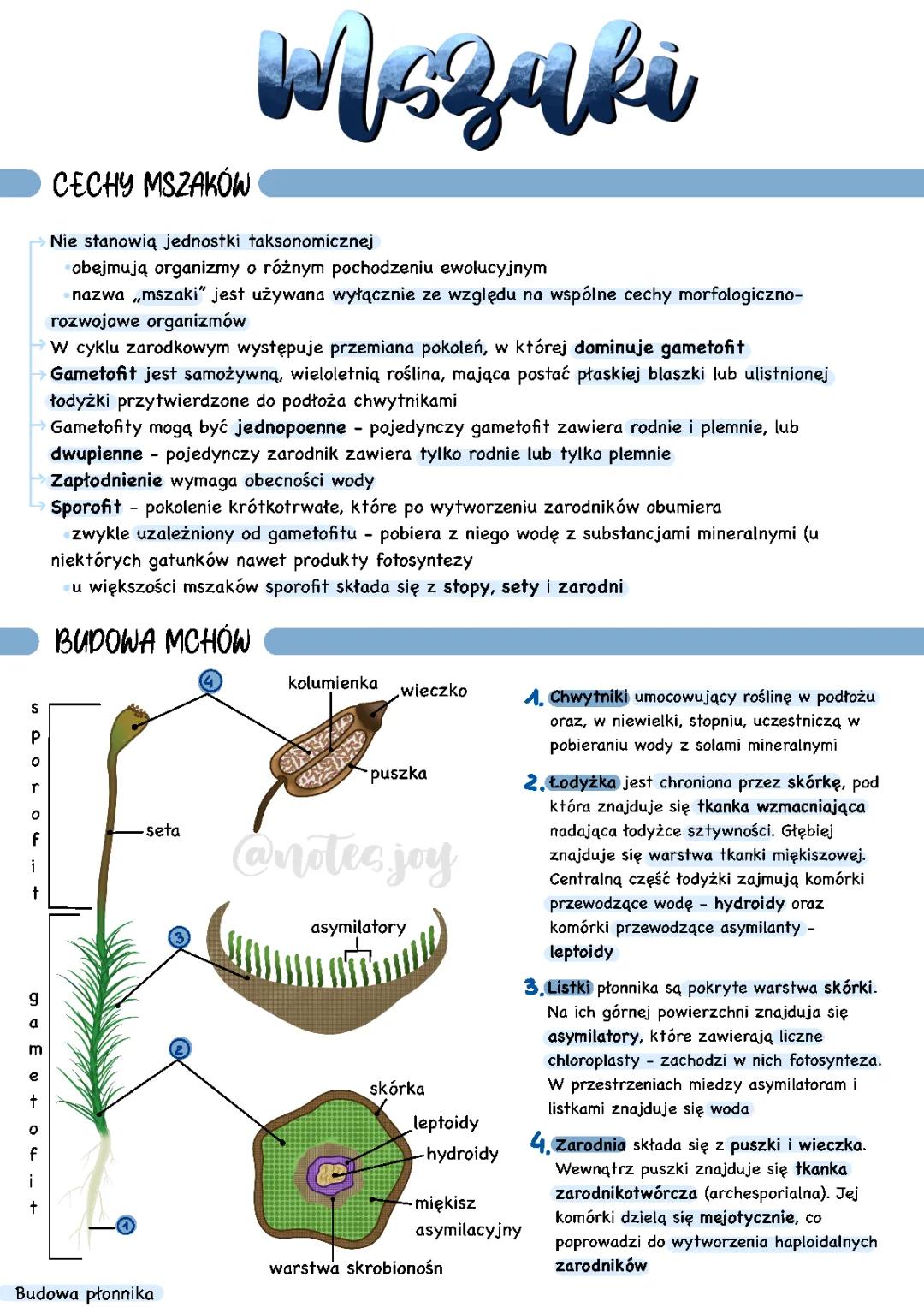 Paprotniki i Mszaki: Rozmnażanie i Cykl Rozwojowy w Biologii