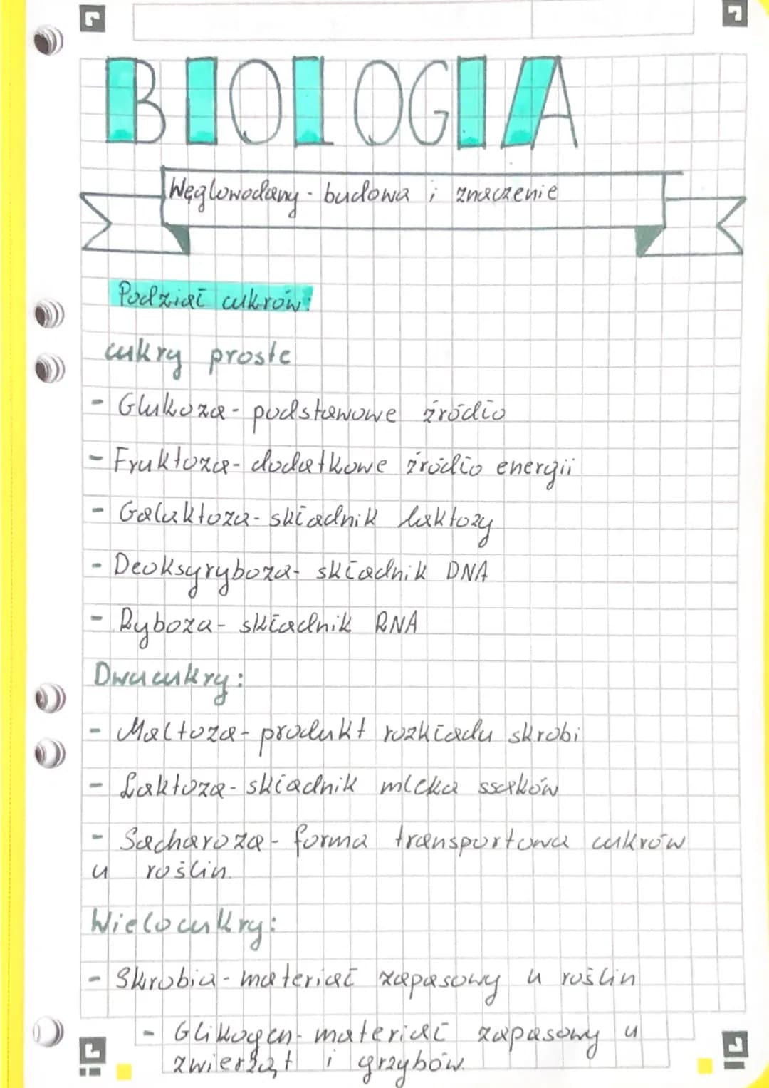 BIOLOGIA
Węglowodany - budowa; znaczenie
Podział cukrów.
cukry proste
-Glukoza- podstawowe ródio
-Fruktoza- dodatkowe grodio energii
Galakto