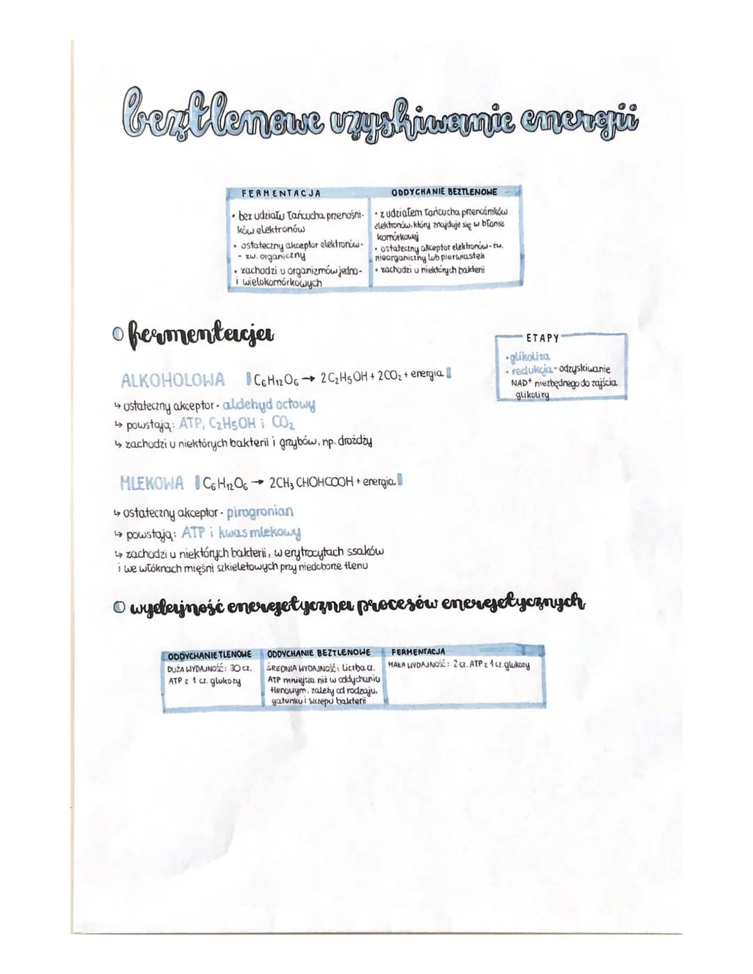ocelychesnie-Honser
KOMÓRKI PROKARIOTYCZNE częściowo w cytozolu, częściowo w wypukleniach blony kom.
KOMÓRKI EUKARIOTYCZNE: w mitochondriach