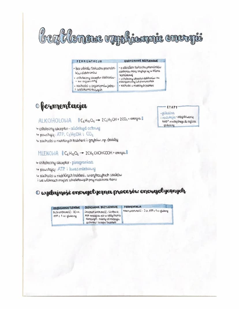 ocelychesnie-Honser
KOMÓRKI PROKARIOTYCZNE częściowo w cytozolu, częściowo w wypukleniach blony kom.
KOMÓRKI EUKARIOTYCZNE: w mitochondriach