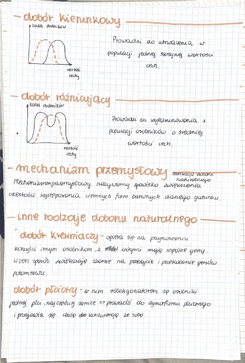 dobór naturalny
główny mechanizm ewolugi
dobór naturalny - (selekcja naturalna)
Jest mechanizmem, który polega na tym, że największe
szanse 
