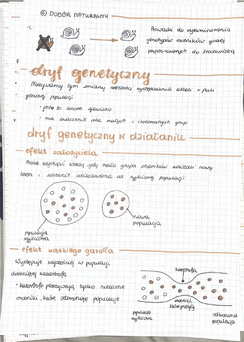 dobór naturalny
główny mechanizm ewolugi
dobór naturalny - (selekcja naturalna)
Jest mechanizmem, który polega na tym, że największe
szanse 