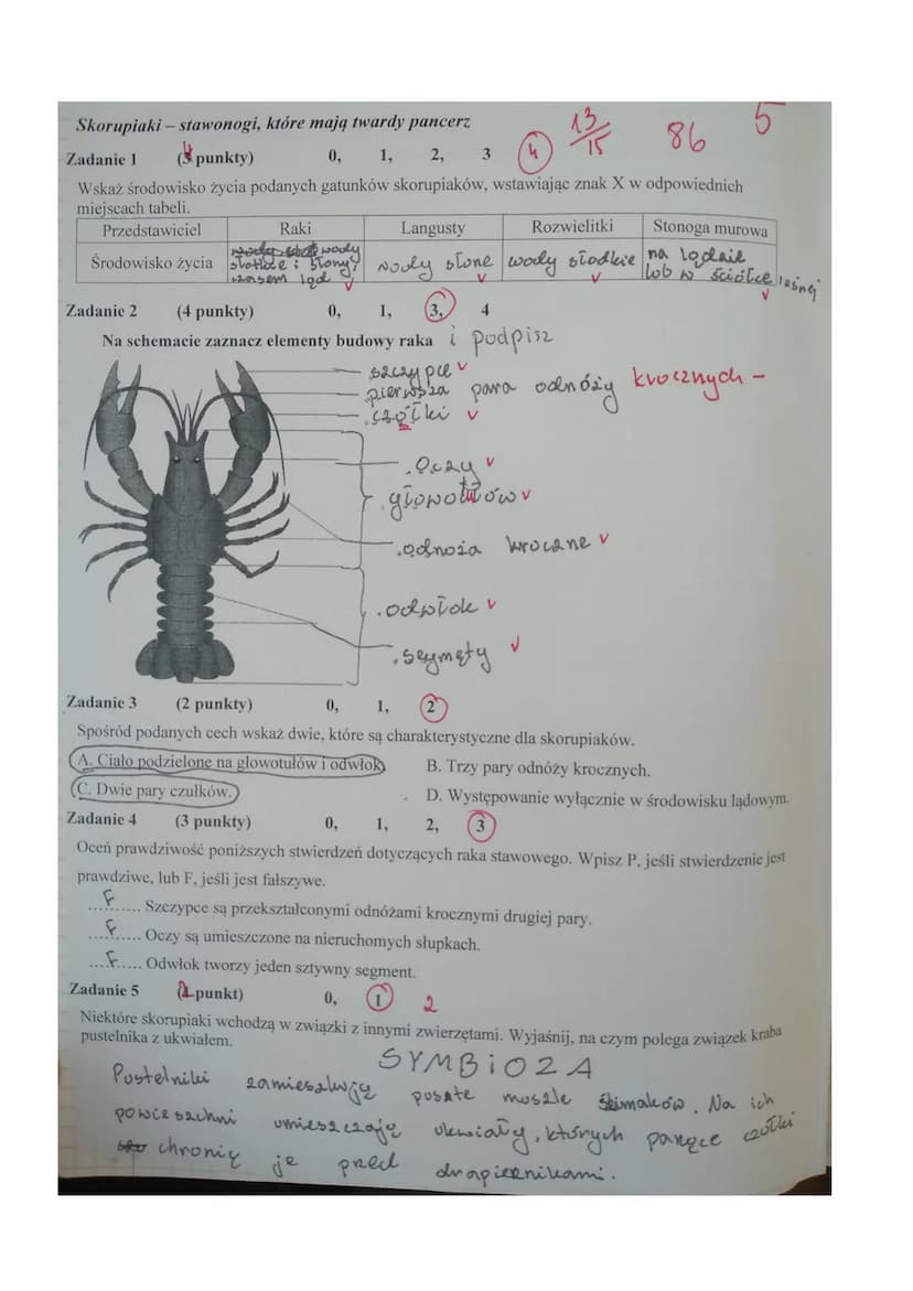 Które Skorupiaki Należą Do Organizmów Planktonowych Proste wyjaśnienie: Skorupiaki i Stawonogi Test PDF - Biologia Klasa 6