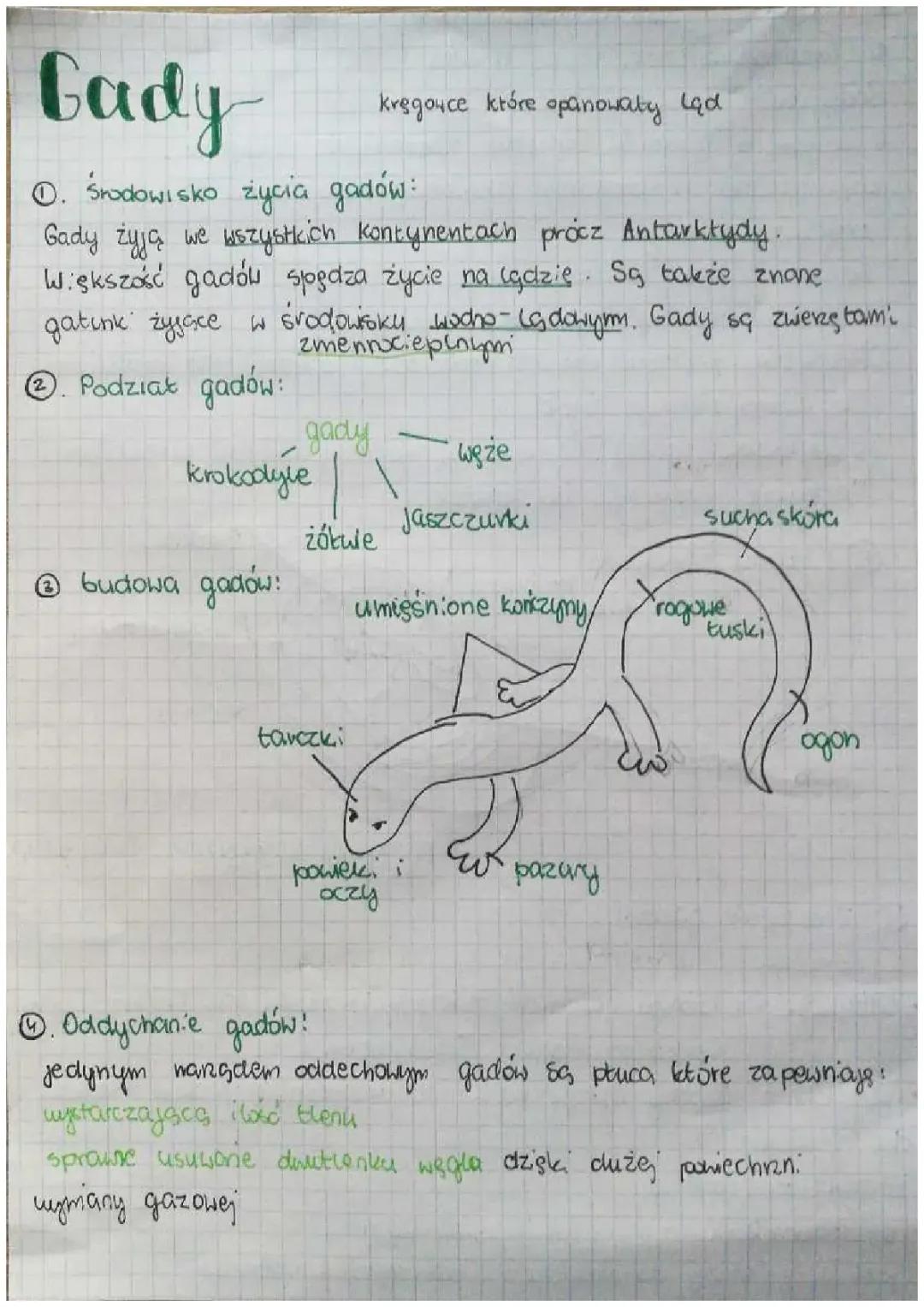 Gdzie żyją gady i jakie znane gady spotkasz w Polsce?