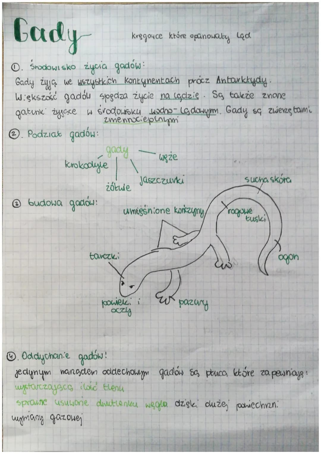 Gady
Ⓒ. środowisko życia gadów:
Gady żyją we wszystkich kontynentach procz Antarktydy.
Większość gadów spędza życie na lądzie. Są także znan