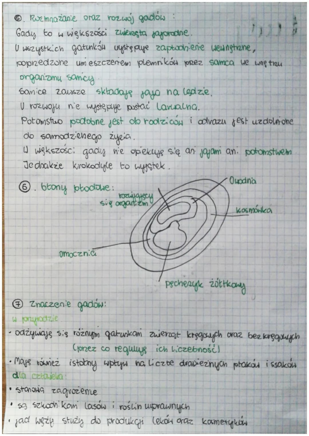 Gdzie żyją gady i jakie znane gady spotkasz w Polsce?