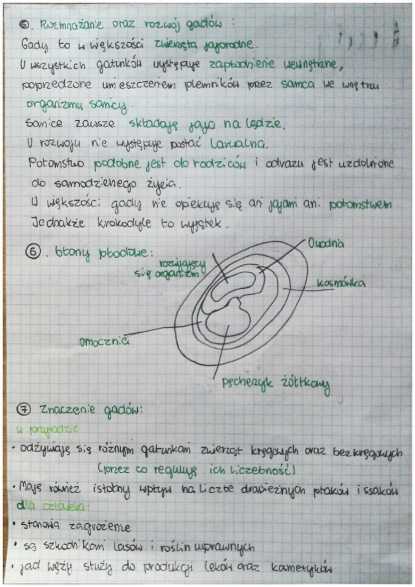 Gady
Ⓒ. środowisko życia gadów:
Gady żyją we wszystkich kontynentach procz Antarktydy.
Większość gadów spędza życie na lądzie. Są także znan