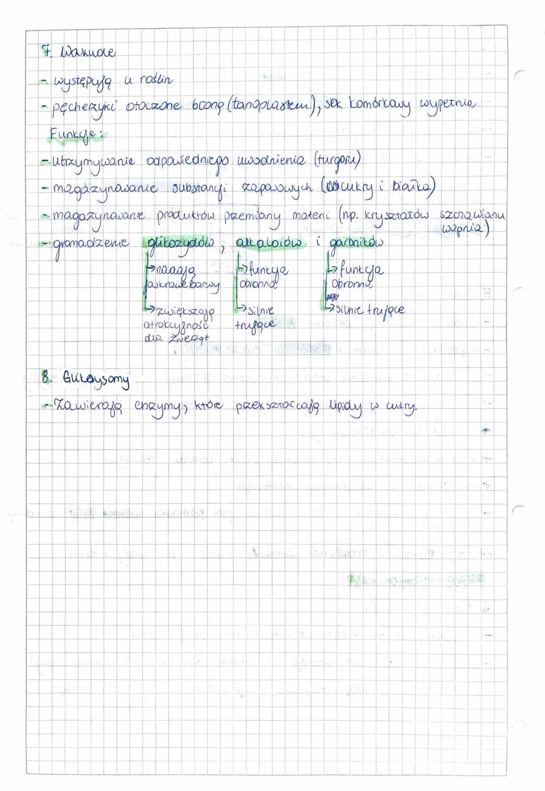 7. 03. 20221.

struktung komórkowe oloozane
jeang buong iі двохошу

ER scrot
1. Siateczie śród plazmatyczna (reticulum endoplazmayorne)
- po