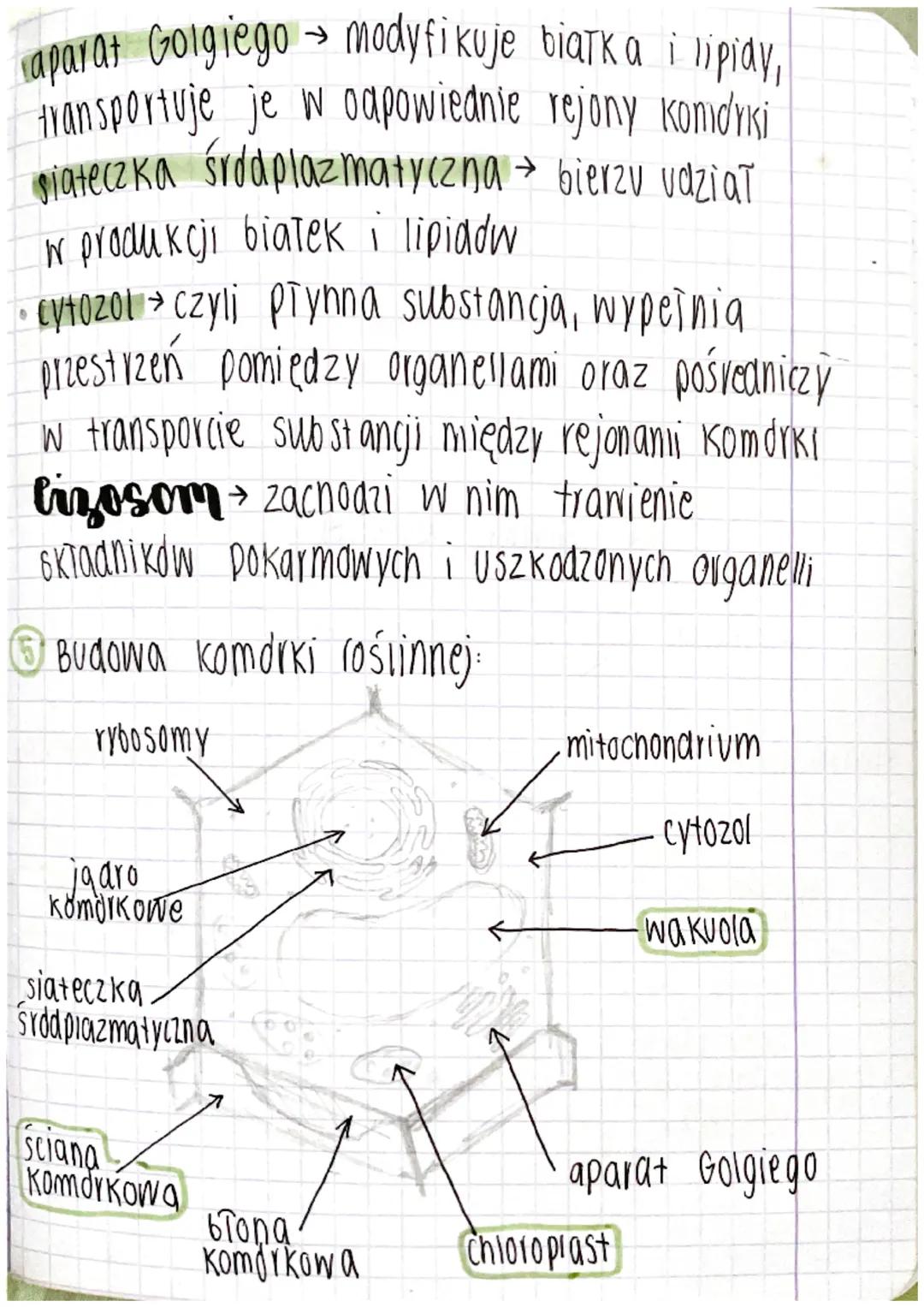 # LEKCJA

temat: Budowa komdrki eukariotycznej 16/01/202

① **komórka** $\rightarrow$ najmniejszą jednostka
strukturalna wszystkich organizm