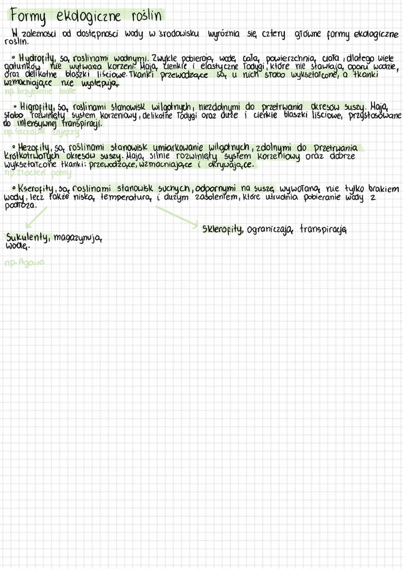 --- OCR Start ---
Rosliny lodowe i wtórnie
wodne
Rośliny ladowe to autotroficzne organizmy tkankowe, których ciało jest zwykle
zróżnicowane 