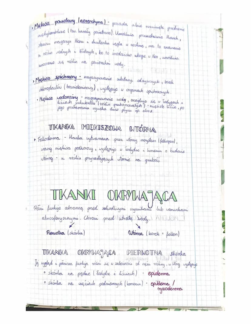
<p>W botanice istnieje wiele rodzajów tkanek roślinnych, z których każda pełni określoną funkcję. Tkanki roślinne mogą być stałe lub twórcz
