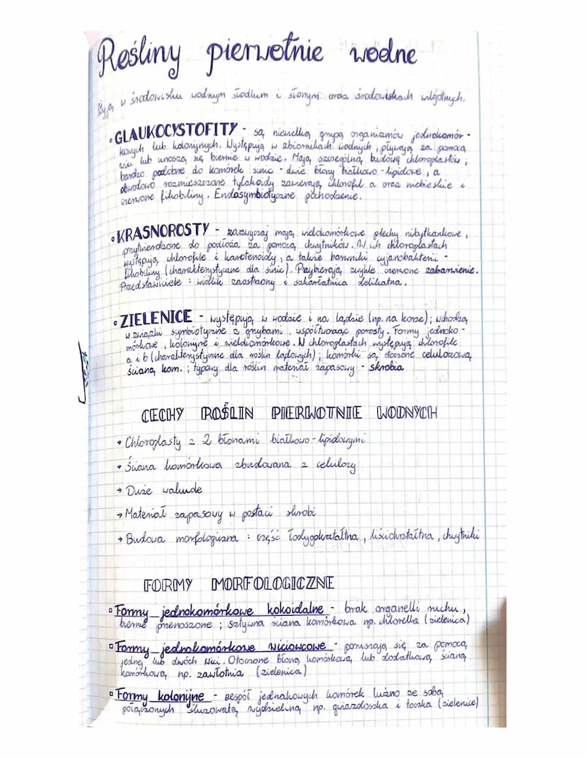
<p>W botanice istnieje wiele rodzajów tkanek roślinnych, z których każda pełni określoną funkcję. Tkanki roślinne mogą być stałe lub twórcz