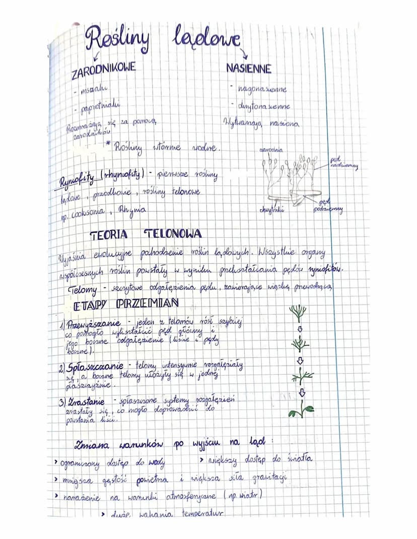 
<p>W botanice istnieje wiele rodzajów tkanek roślinnych, z których każda pełni określoną funkcję. Tkanki roślinne mogą być stałe lub twórcz