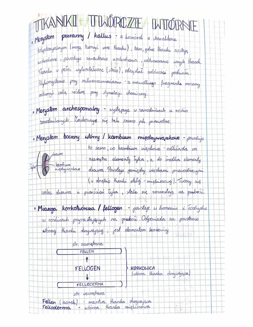 
<p>W botanice istnieje wiele rodzajów tkanek roślinnych, z których każda pełni określoną funkcję. Tkanki roślinne mogą być stałe lub twórcz