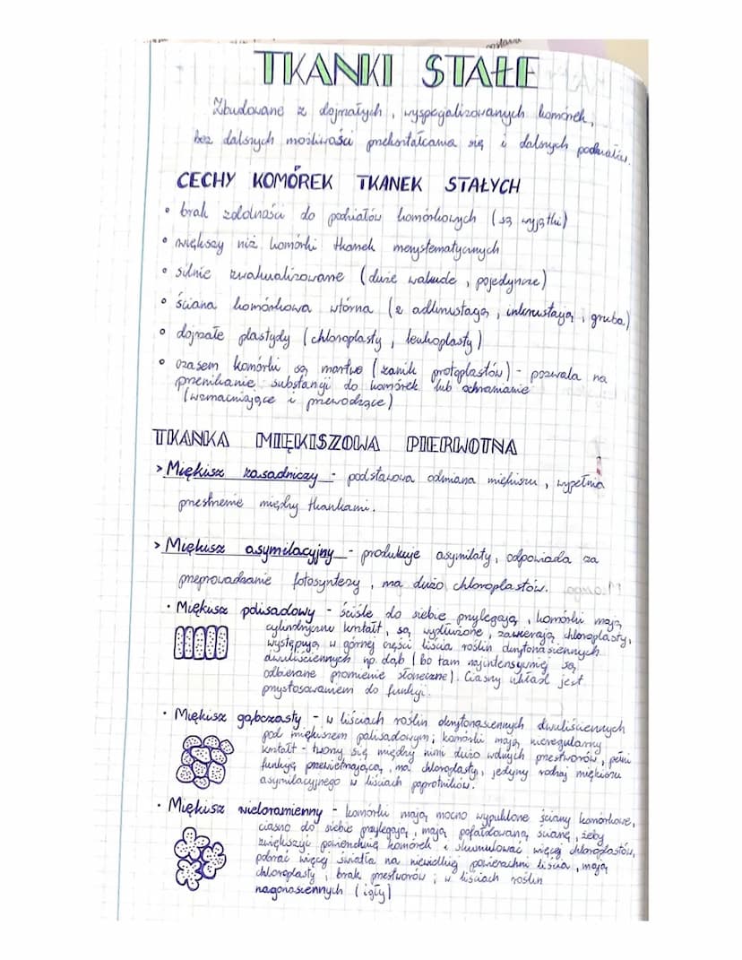 
<p>W botanice istnieje wiele rodzajów tkanek roślinnych, z których każda pełni określoną funkcję. Tkanki roślinne mogą być stałe lub twórcz