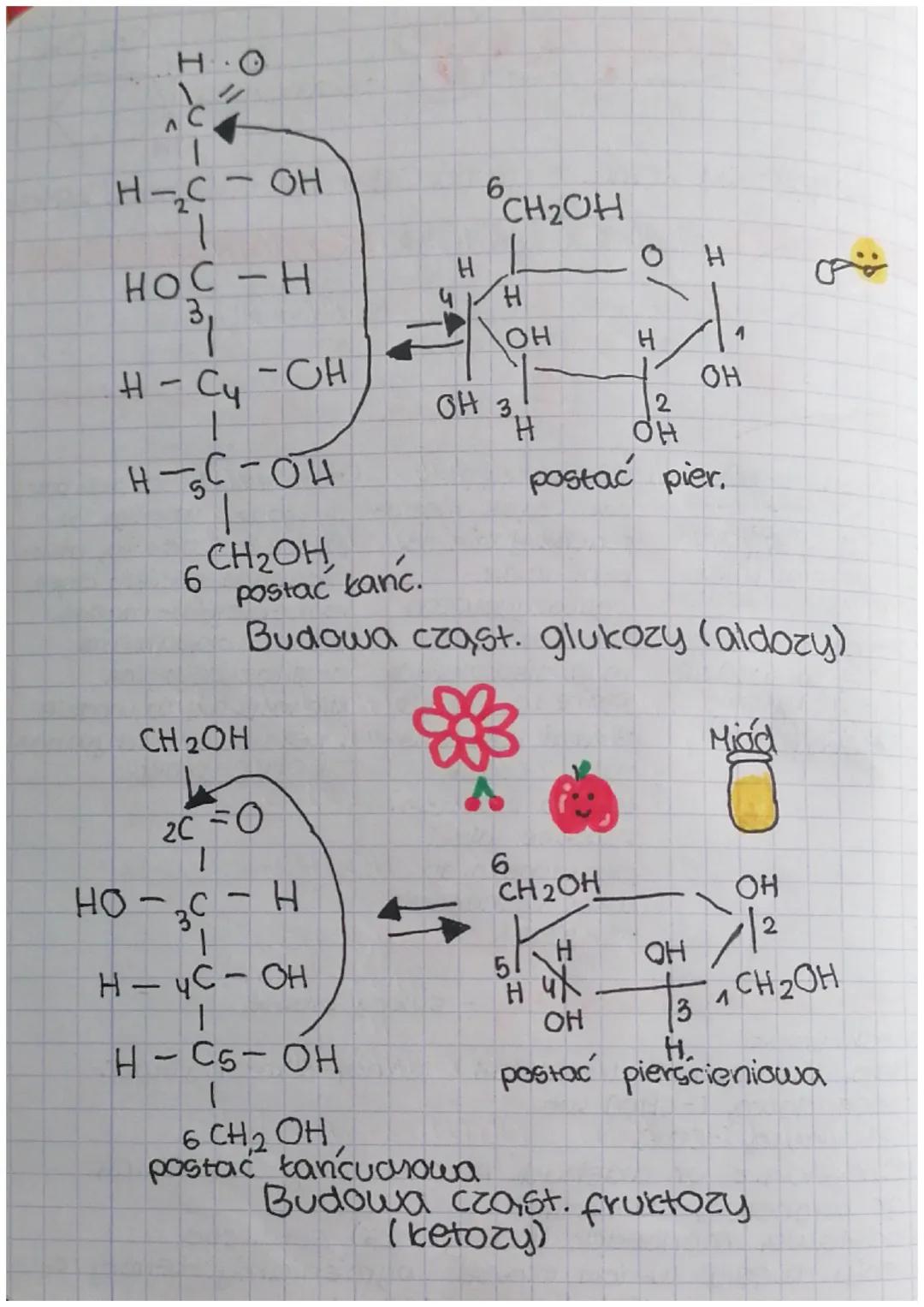 MONOSACHARYDY
•Mają od 3 do 7 atomow
wegia w cząsteczce
•Charakteryzują się
obecnoscia grupy
tarboks. oraz kilku
grup hydroksylowych
•
Dobne