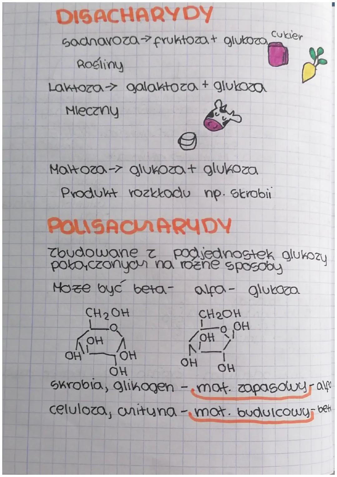 MONOSACHARYDY
•Mają od 3 do 7 atomow
wegia w cząsteczce
•Charakteryzują się
obecnoscia grupy
tarboks. oraz kilku
grup hydroksylowych
•
Dobne
