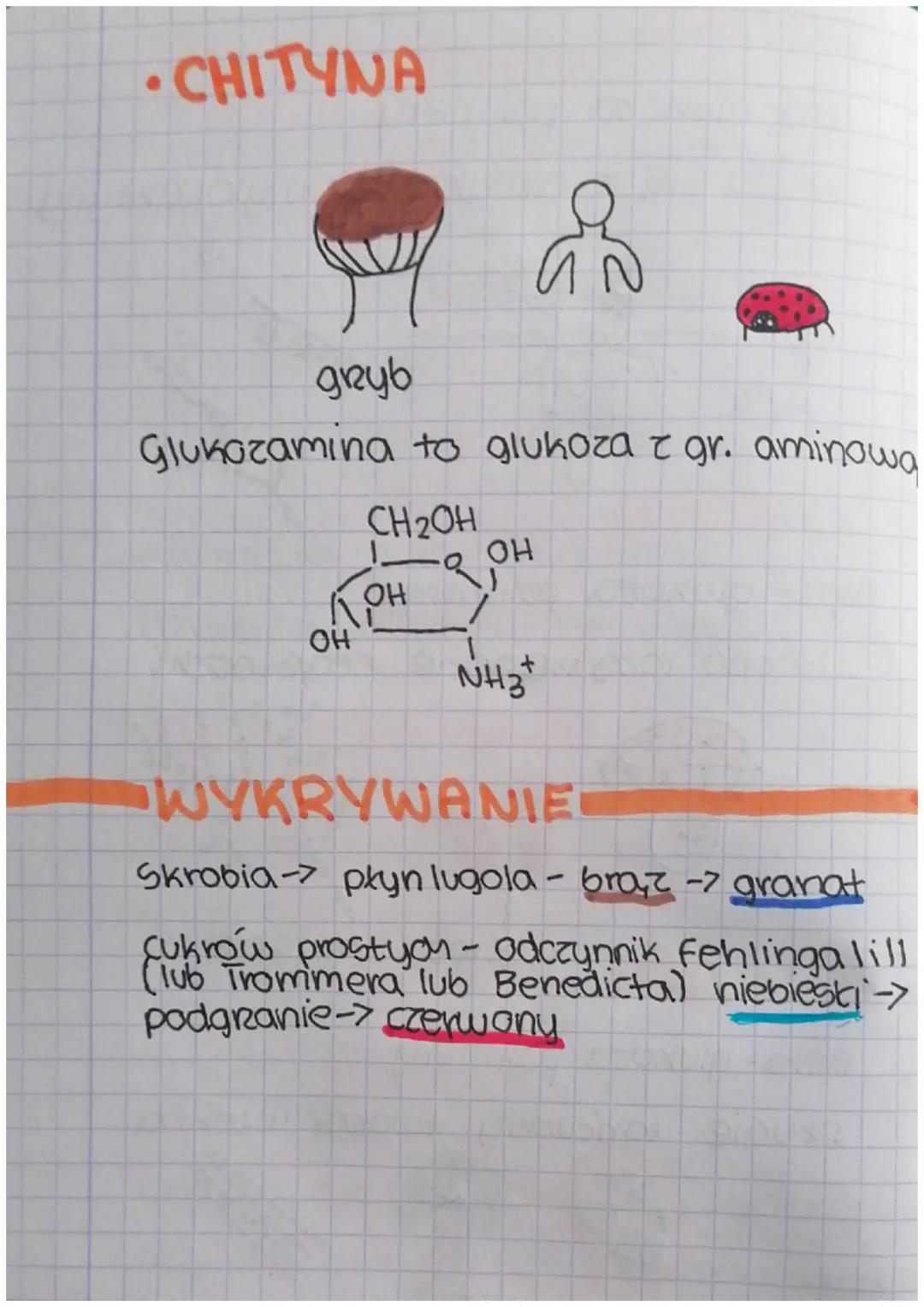 MONOSACHARYDY
•Mają od 3 do 7 atomow
wegia w cząsteczce
•Charakteryzują się
obecnoscia grupy
tarboks. oraz kilku
grup hydroksylowych
•
Dobne