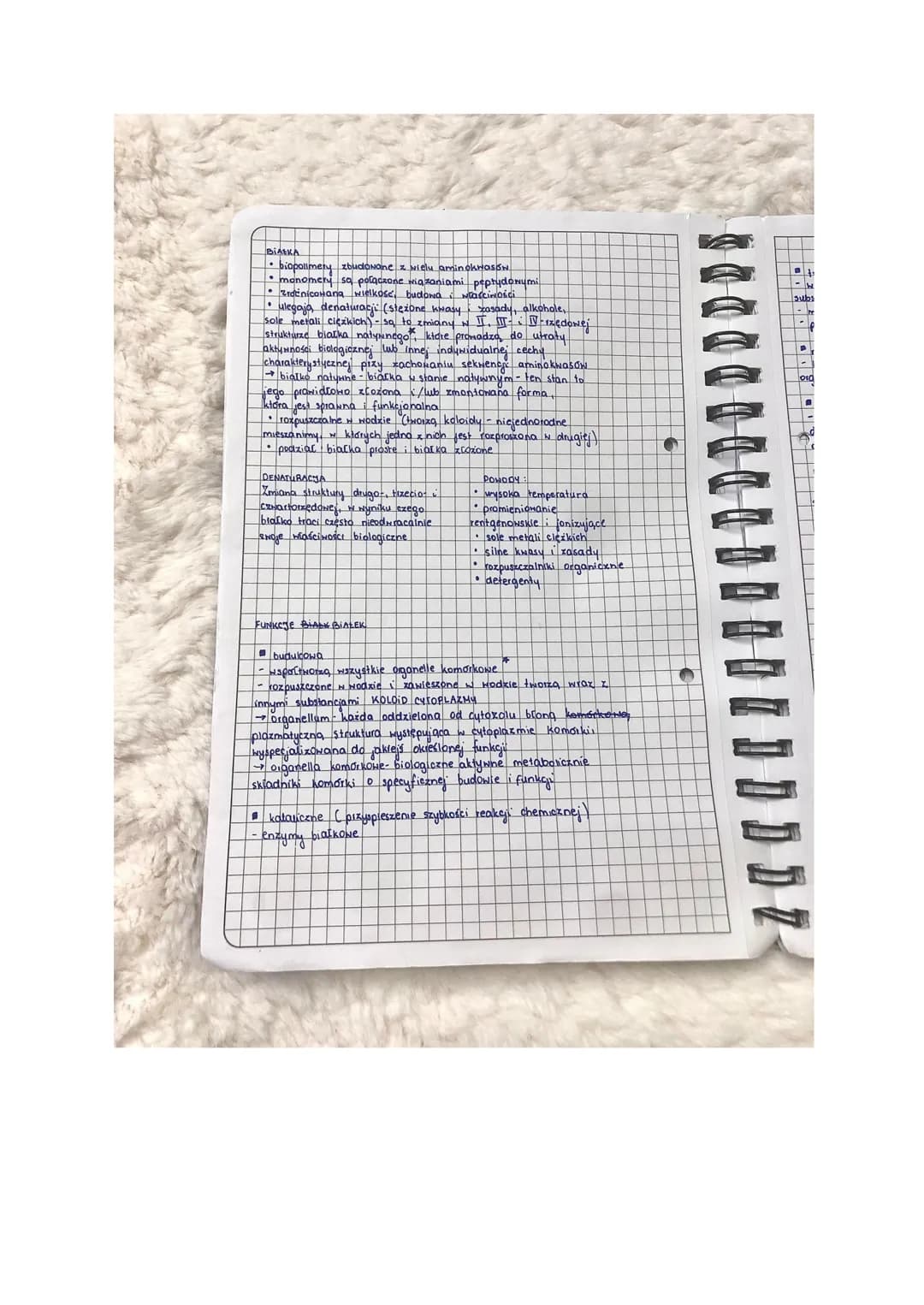 Aminokwasy i Białka: Budowa, Funkcje i Przykłady