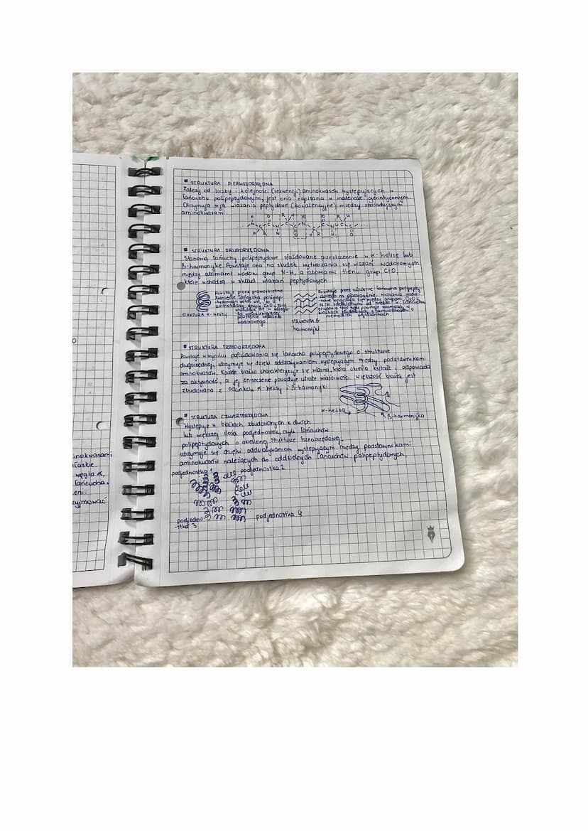 
<p>Aminokwasy to niewielkie cząsteczki organiczne, które występują powszechnie we wszystkich żywych organizmach. Są to związki chemiczne, k