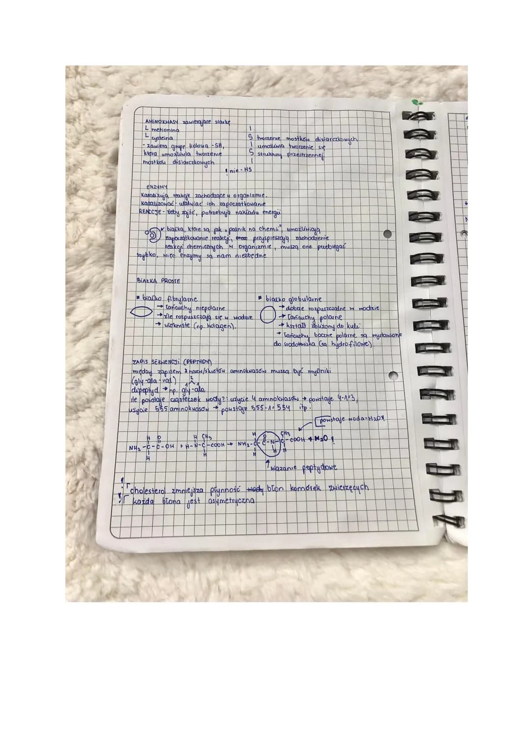 Aminokwasy i Białka: Budowa, Funkcje i Przykłady