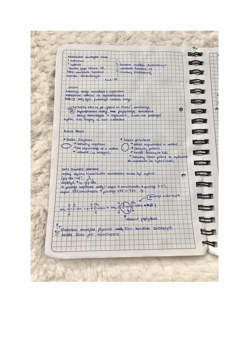 
<p>Aminokwasy to niewielkie cząsteczki organiczne, które występują powszechnie we wszystkich żywych organizmach. Są to związki chemiczne, k