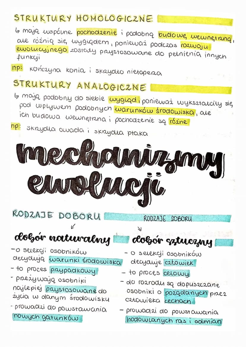 ewolucja
źródła wiedzy o ewolucji
EWOLUCJA
EWOLUCJA
↳ to proces zmian zachodzących w organizmach, które
prowadzą do powstawania nowych gatun