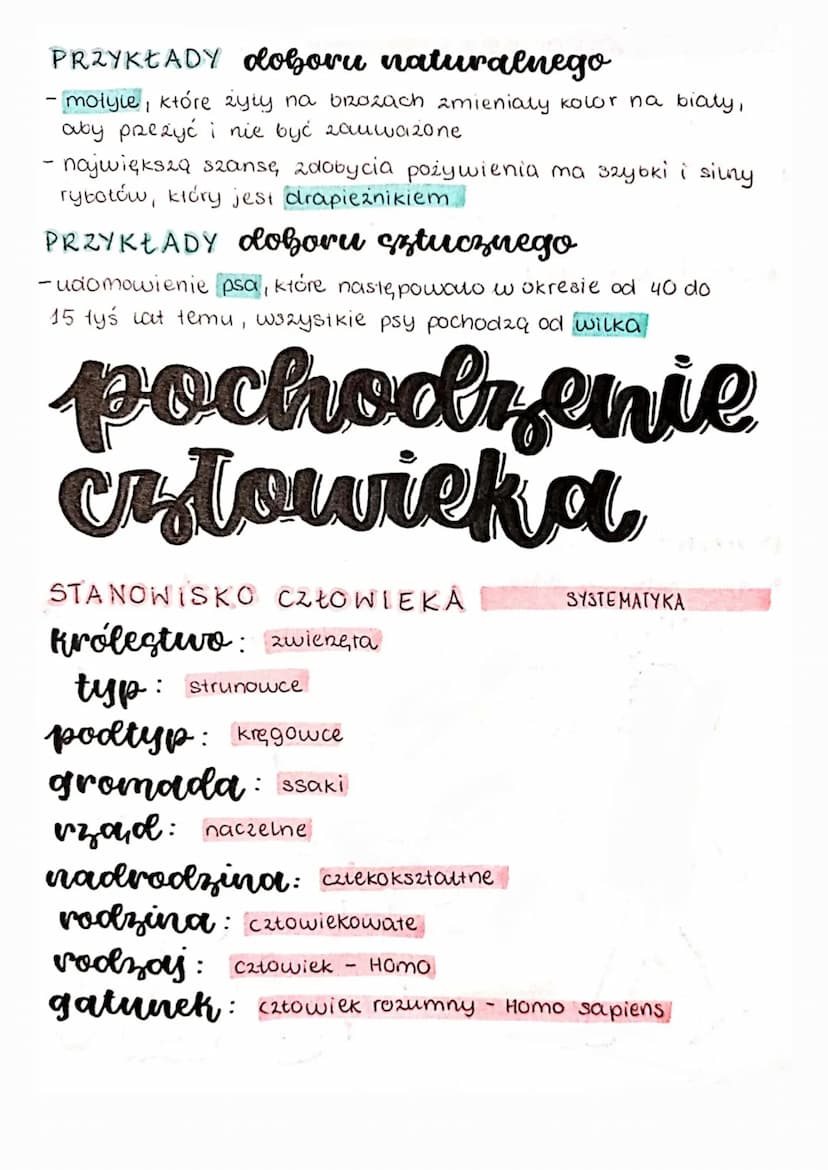 ewolucja
źródła wiedzy o ewolucji
EWOLUCJA
EWOLUCJA
↳ to proces zmian zachodzących w organizmach, które
prowadzą do powstawania nowych gatun
