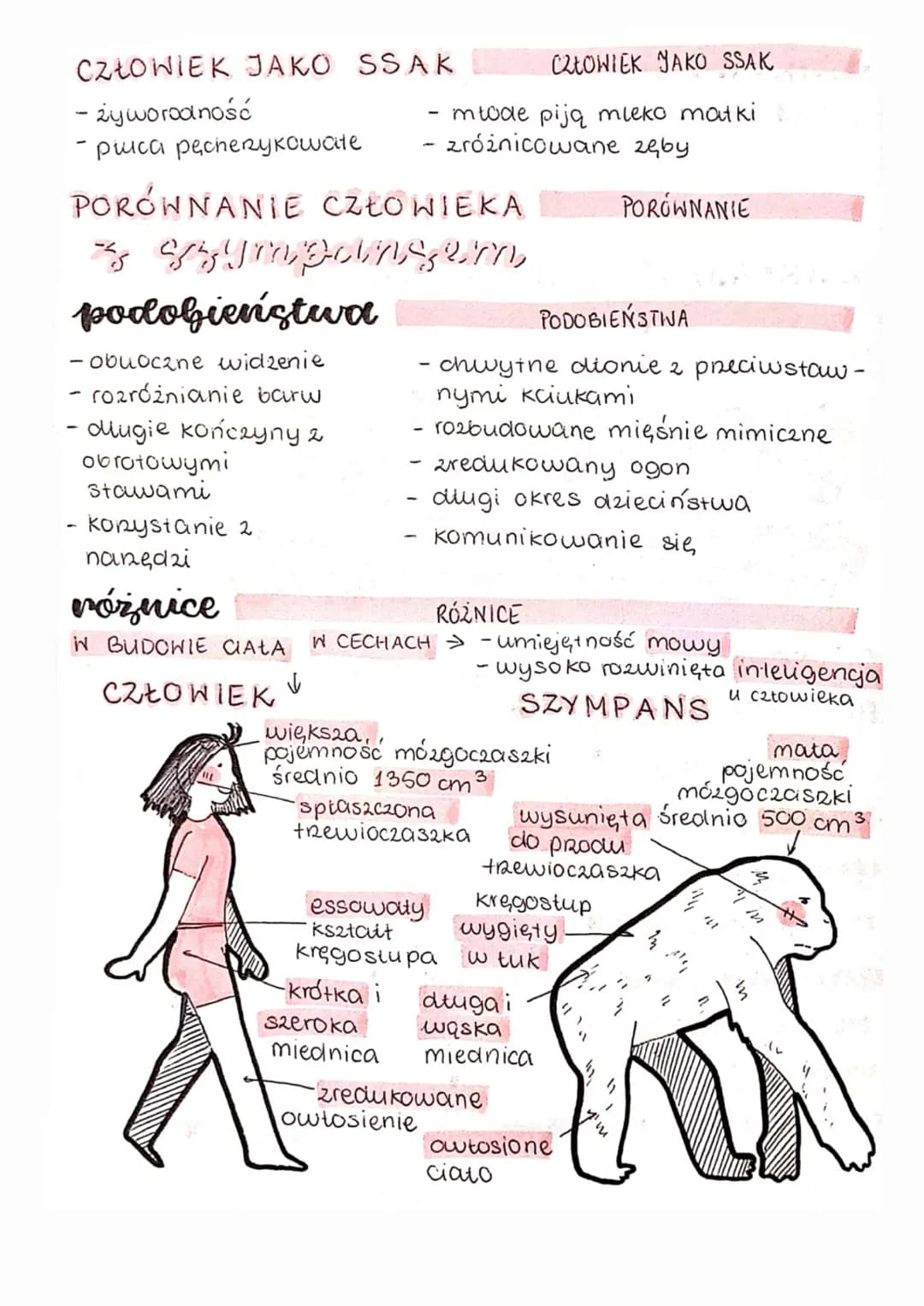 ewolucja
źródła wiedzy o ewolucji
EWOLUCJA
EWOLUCJA
↳ to proces zmian zachodzących w organizmach, które
prowadzą do powstawania nowych gatun