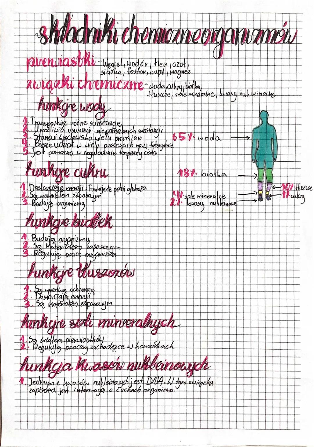 Składniki Chemiczne Organizmu: Klasa 5 Biologia