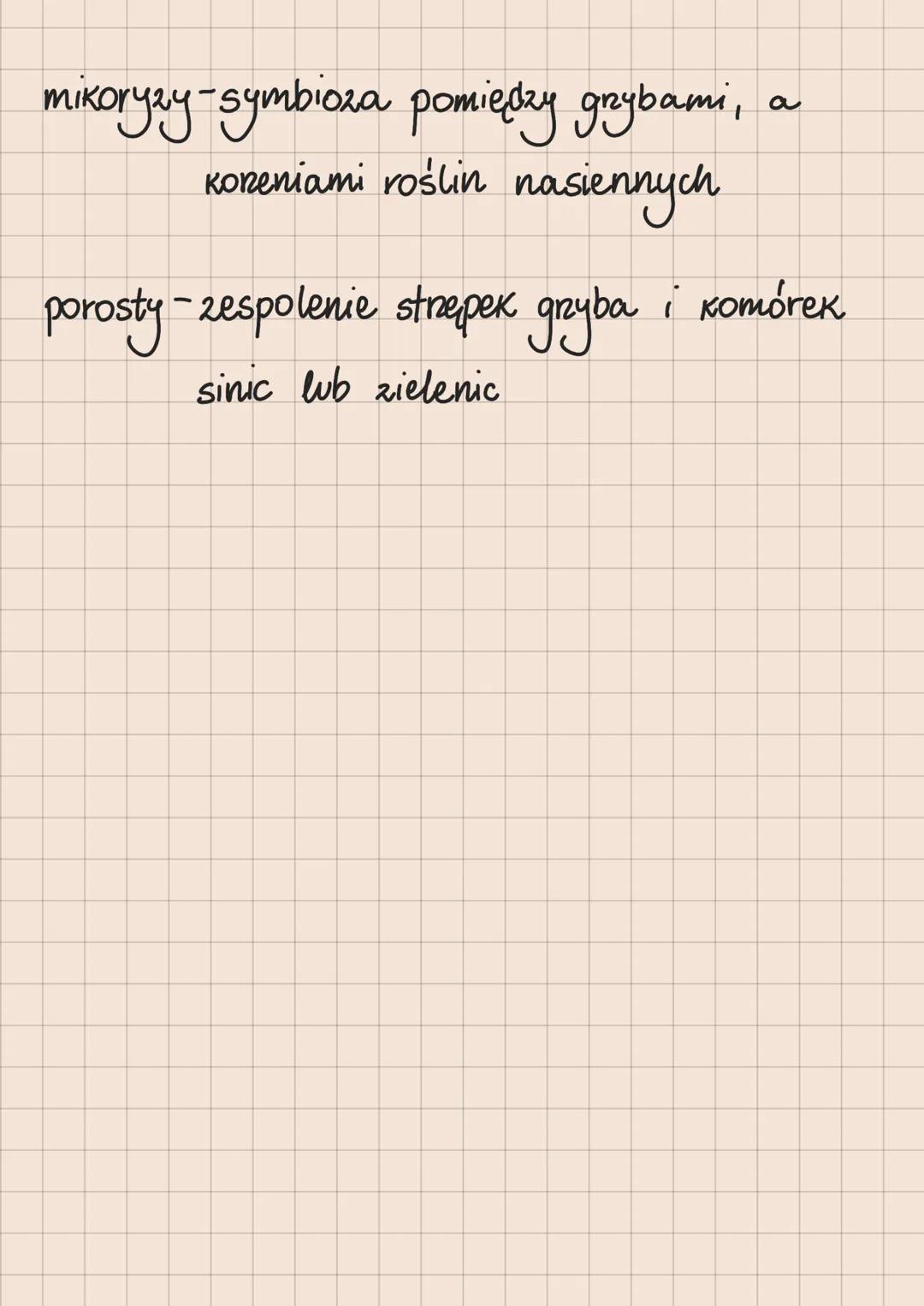 Klasyfikacja organizmów

DOMENA

KRÓLESTWO

GROMADA/TYP

KLASA /GROMADA

RZĄD

RODZINA

RODZAJ

GATUNEK

Organizmy prokanotyczne - bakterie 