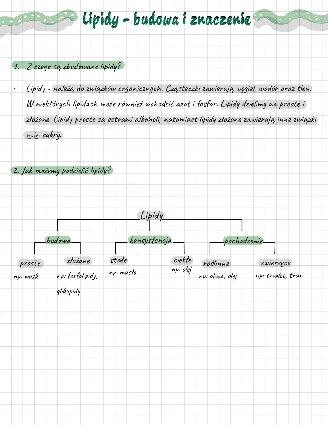 Lipidy: Budowa, Rodzaje i Znaczenie