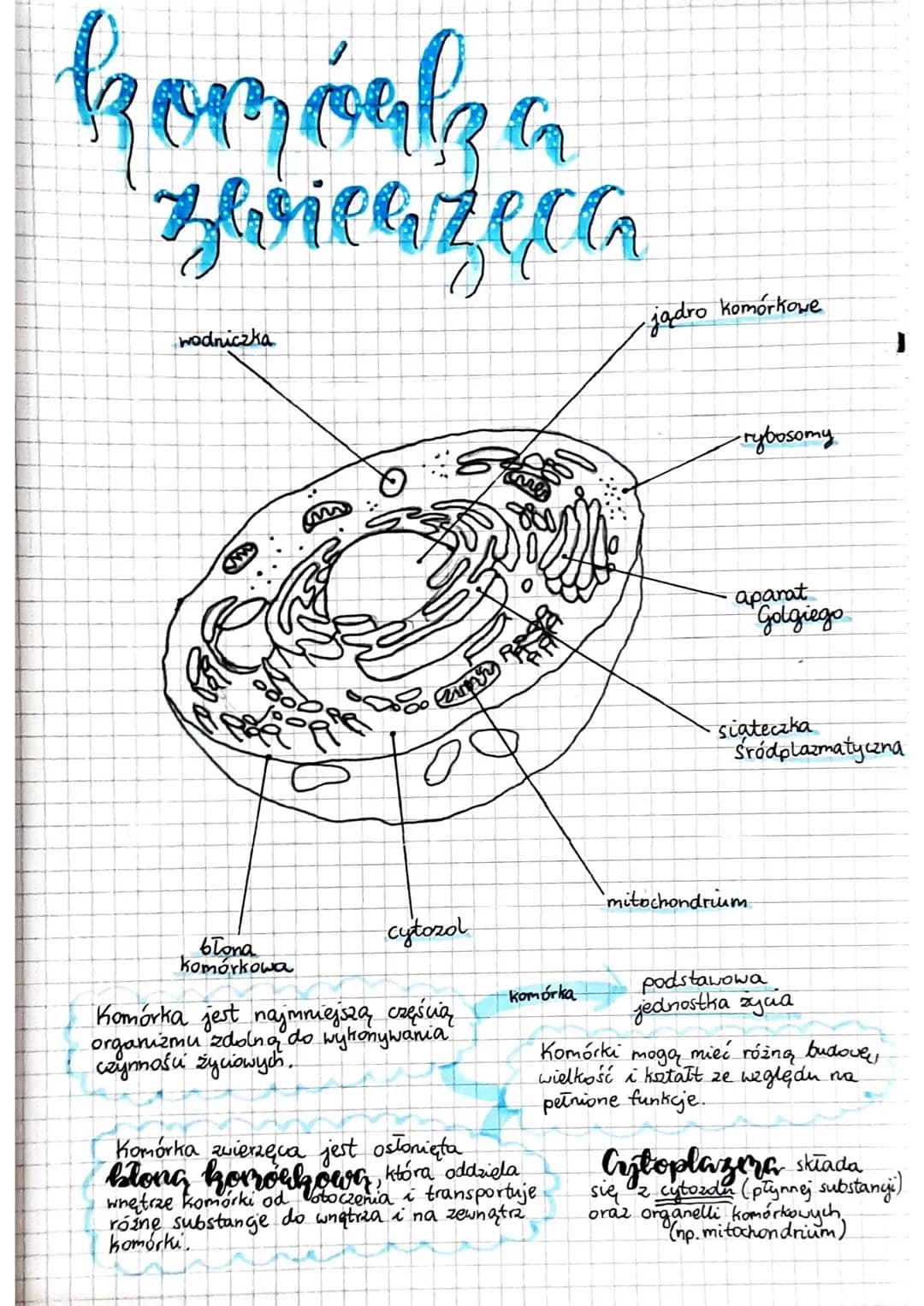 komórko
a
zwierzęca
wodniczka
błona
komórkowa
cytozal
Komórka jest najmniejszą częścią
organizmu zdolną do wykonywania
czynnośú życiowych.
R