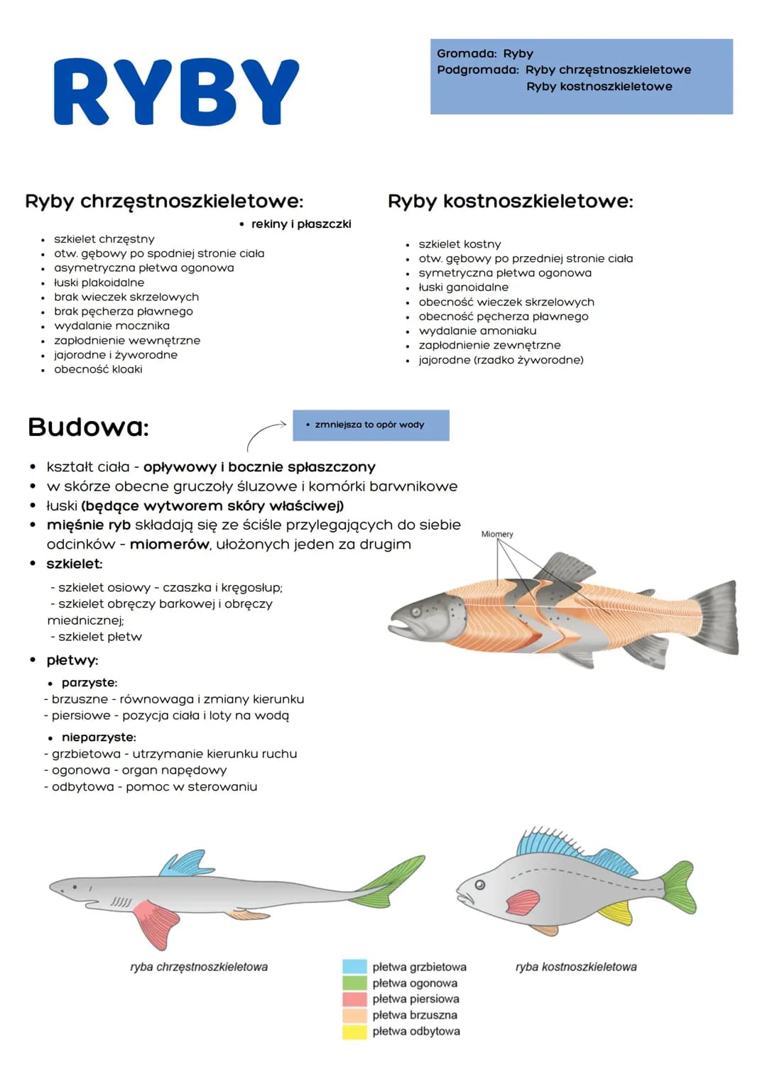 Ryby notatka Biologia rozszerzenie