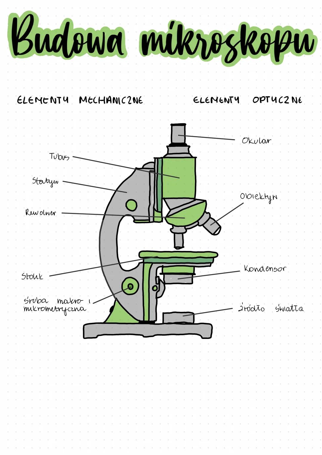 # Budowa mikroskopu

ELEMENTU MECHANICZNE

ELEMENTY OPTYCZNE

Tubus

Statyw

Rewolwer

Stouk

Okular

Obiektyw

Kondensor

śruba makro- 1
mi